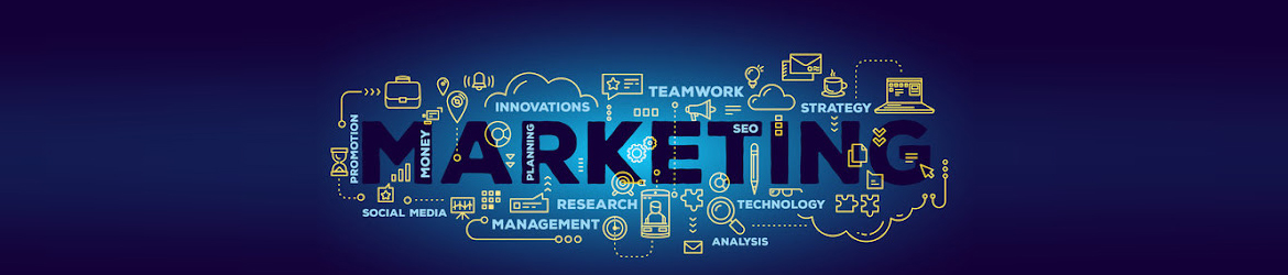 AMS Informatics – Leading WordPress Development Company in Chandigarh