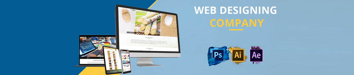 Best Web Designing Comapny in Chandigarh