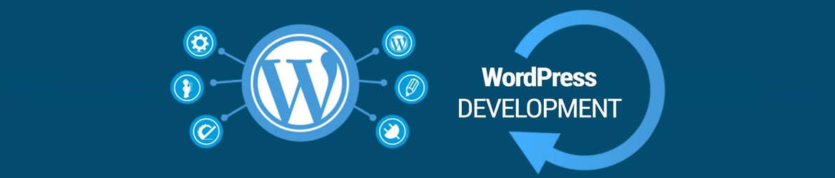 AMS Informatics – Leading WordPress Development Company in Chandigarh